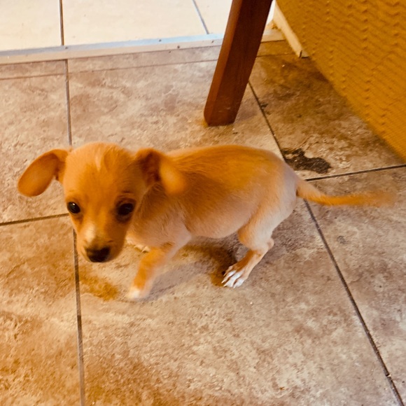 Meet your Posher, Thomas - Picture 11 of 16